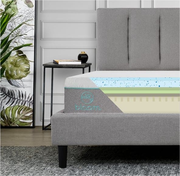 Bloom Air Construction