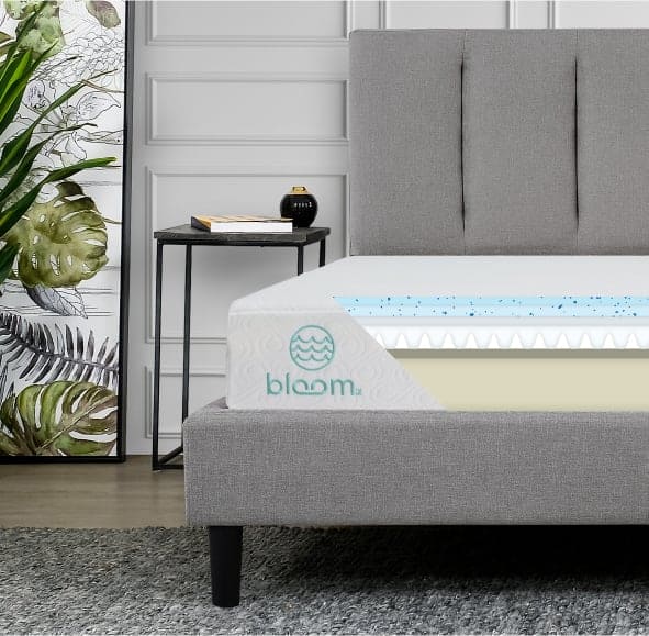 Bloom River Mattress Construction