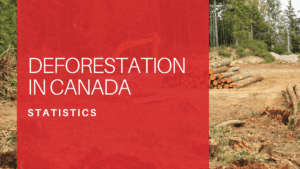 Deforestation Statistics in Canada