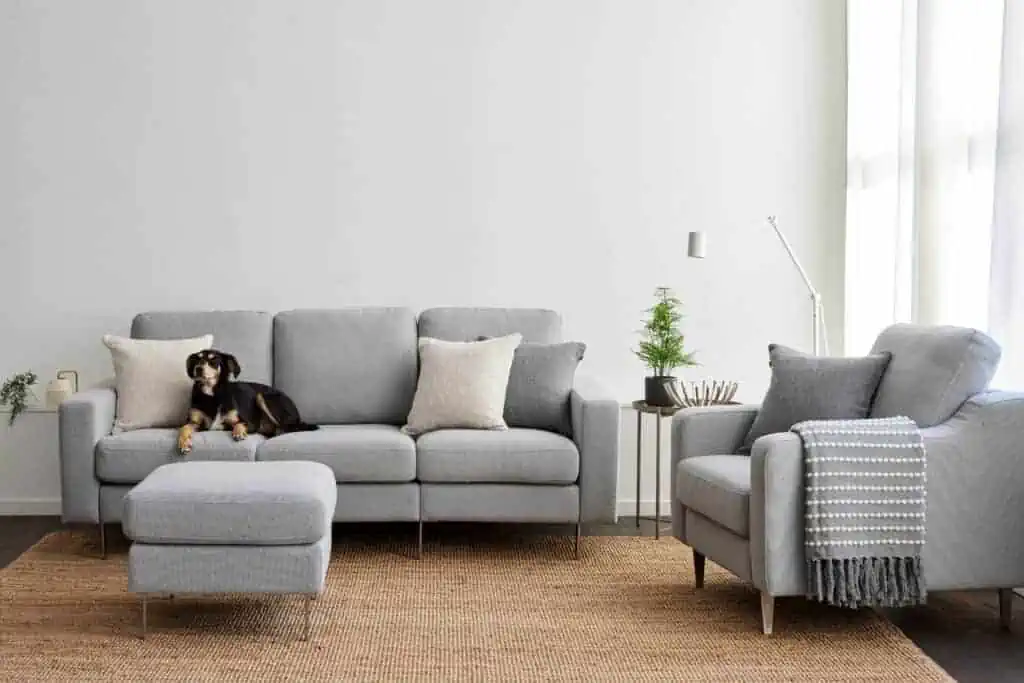 Cozey Altus Collection Sofa