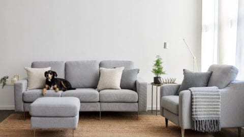 Cozey Altus Collection Sofa