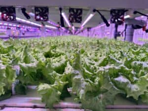  AquaVerti Farms