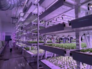  AquaVerti Farms