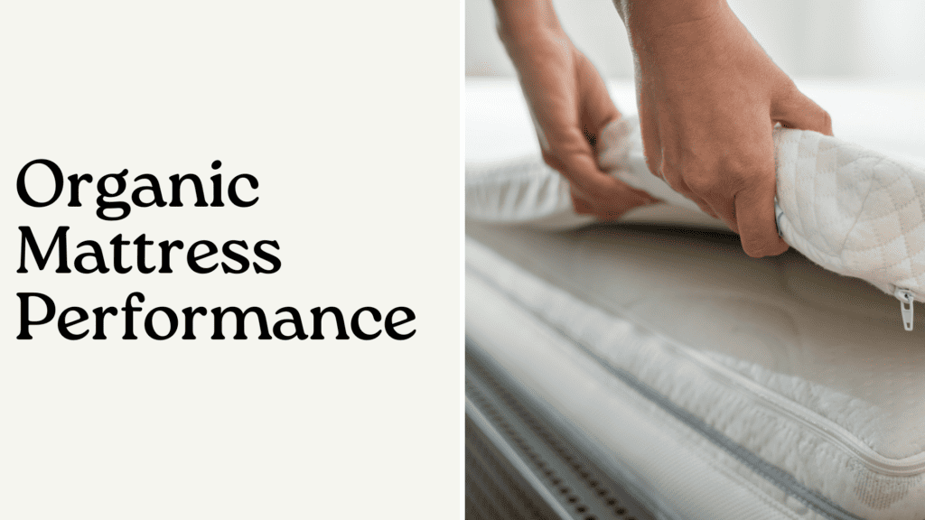 Organic Mattress Performance