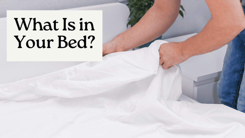 What Is in Your Bed