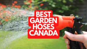 The Best Garden Hoses Canada