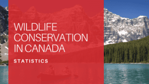 Wildlife Conservation Statistics in Canada
