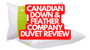 Canadian Down & Feather Company Duvet Review