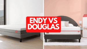 Endy vs Douglas