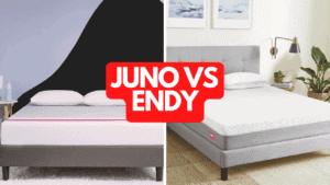 Juno vs Endy