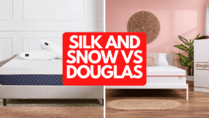Silk & Snow vs Douglas
