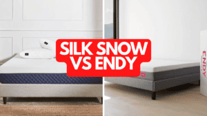 Silk & Snow vs Endy