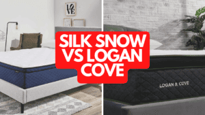 Silk & Snow vs Logan & Cove