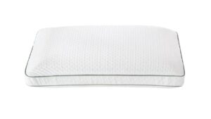 Silk & Snow Eco Soy Pillow
