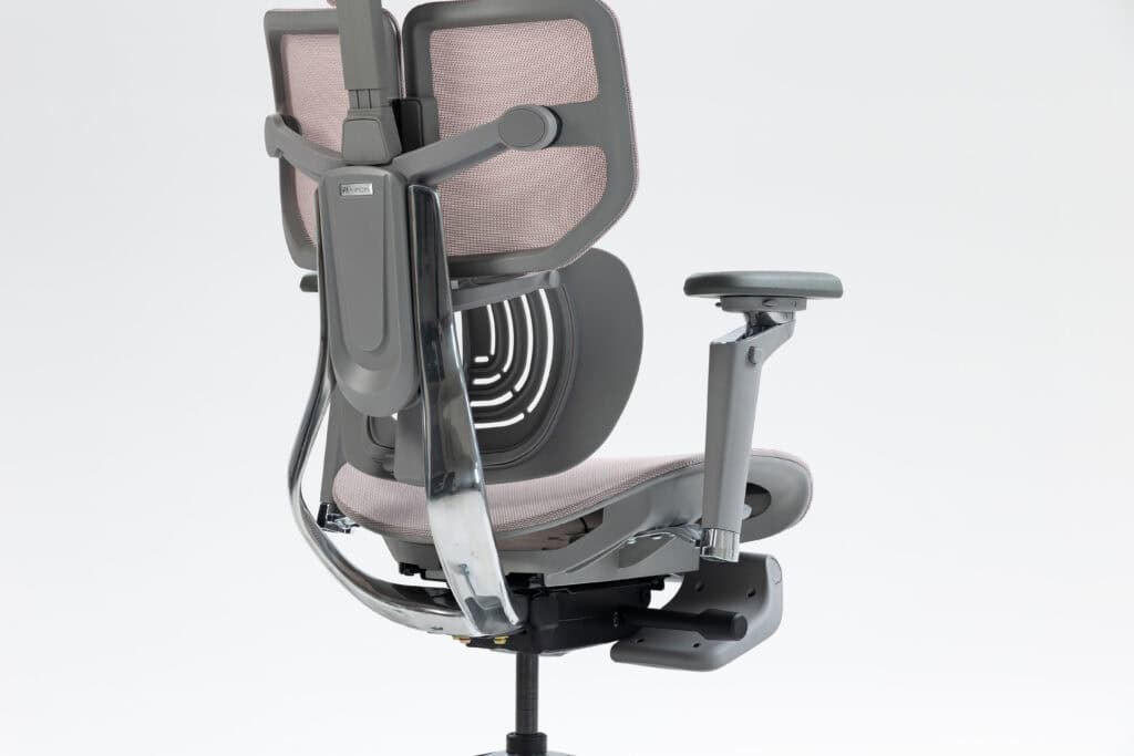 Hinomi X1 Ergonomic Office Chair Back Support