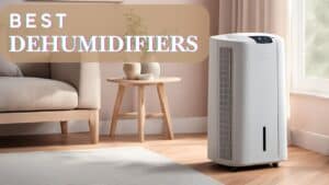 Best Dehumidifiers for Canadians in 2025