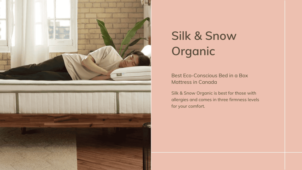 SS Organic Bed in a Box Feature