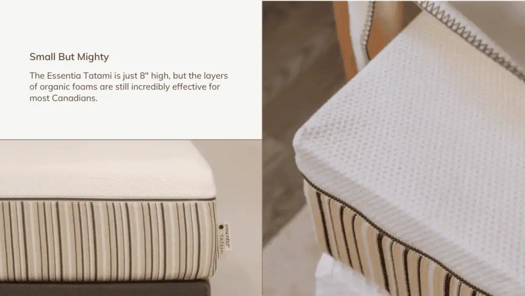 Ultimate Mattress Essentia Tatami Height