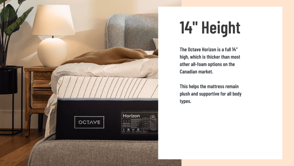 Ultimate Mattress Octave Horizon Height