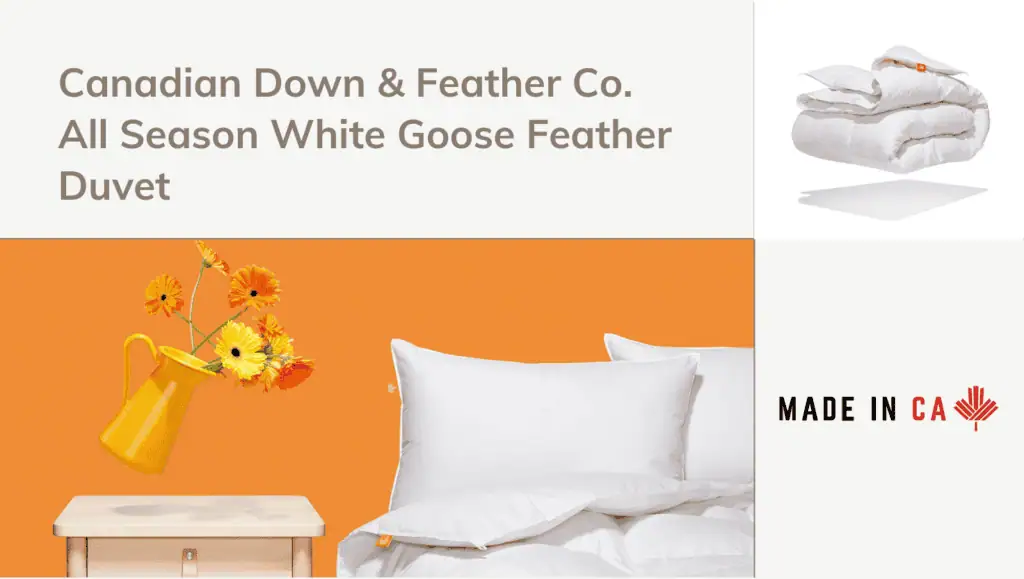 CDFC All Season White Goose Feather Duvet