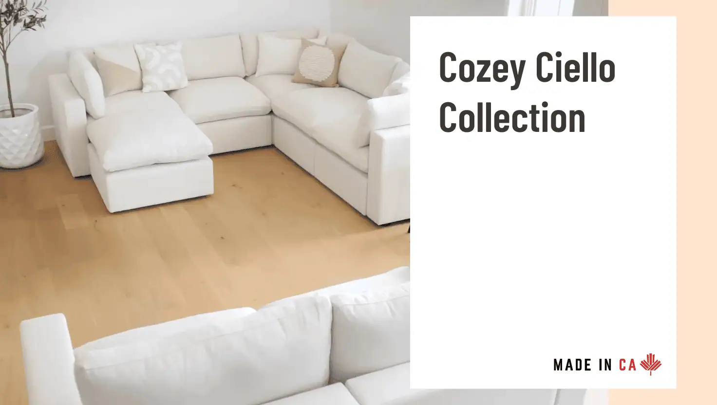 Cozey Ciello Collection Sofa