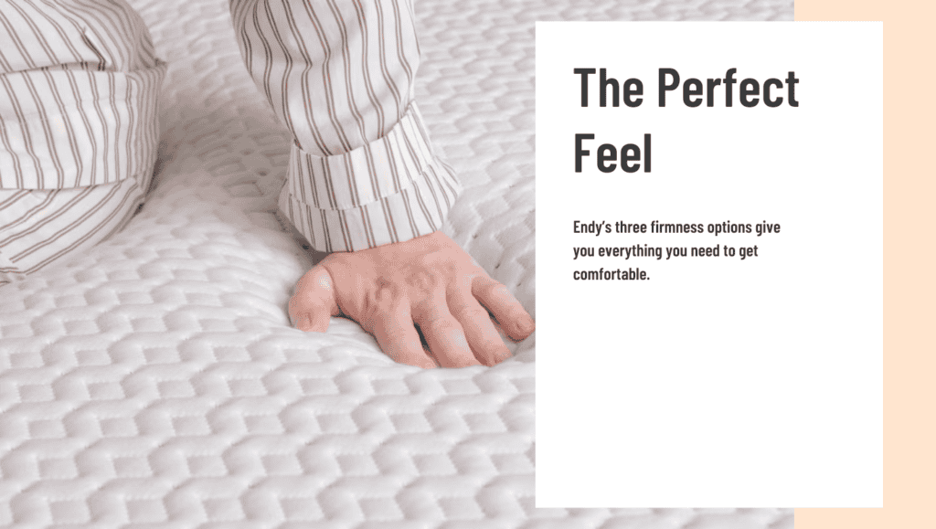 Endy General Feature