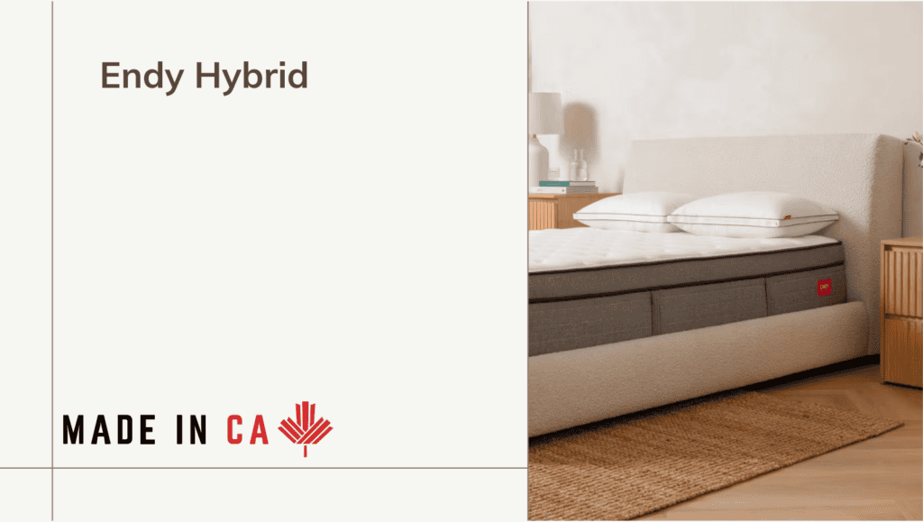 Endy Hybrid Standard