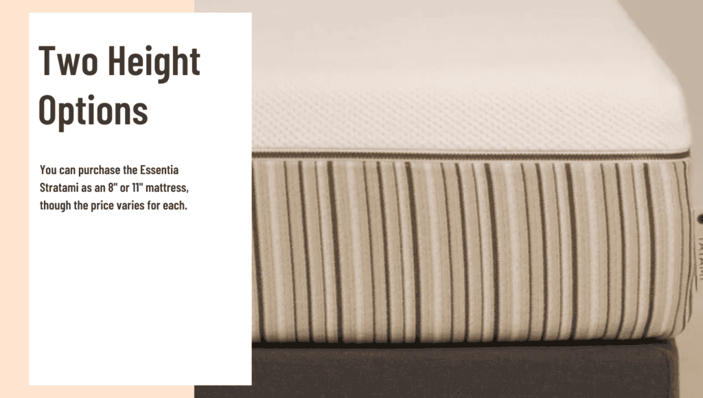 Essentia Stratami General Feature