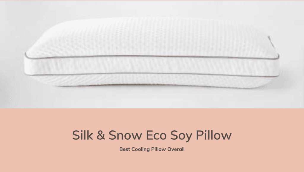 SS Eco Soy Pillow