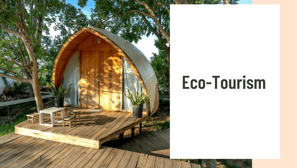 Canadian Businesses to Start Eco Tourism