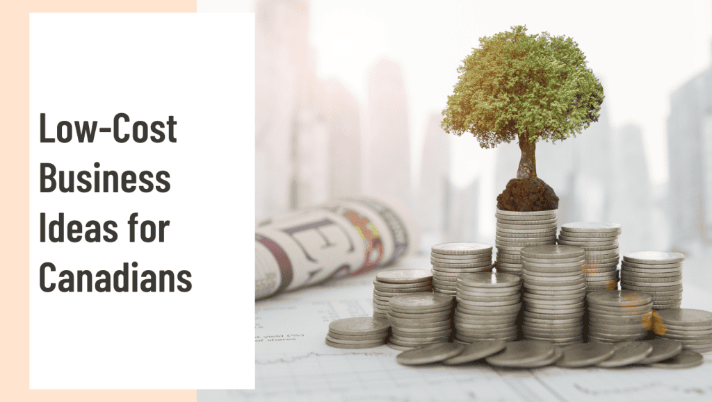 Low Cost Business Low Cost Business Ideas