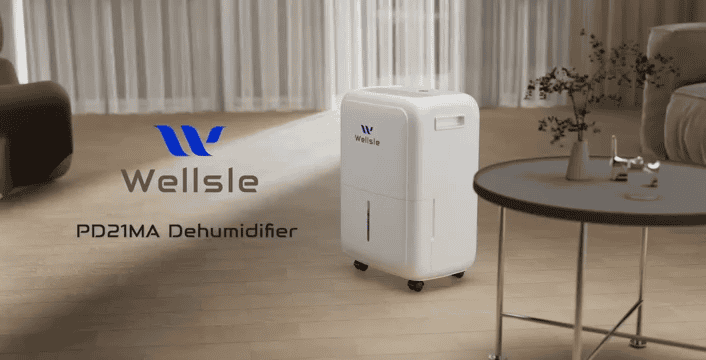 Wellsle Dehumidifier