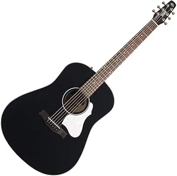 Seagull guitar