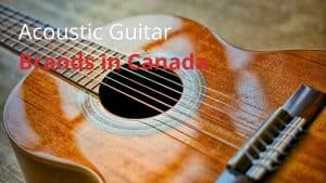 Acoustic Guitar Brands in Canada
