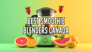 Best Smoothie Blenders in Canada