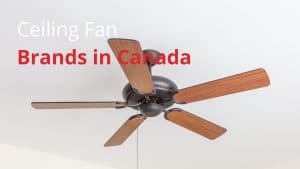 Ceiling Fan Brands in Canada