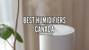 Best Humidifiers in Canada