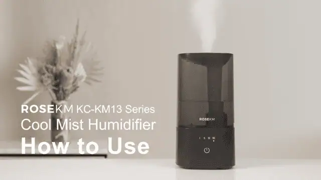 Rosekm 2.0L Bedroom Humidifier