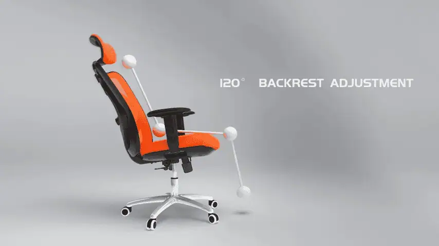 SIHOO Ergonomic Office Chair Backrest