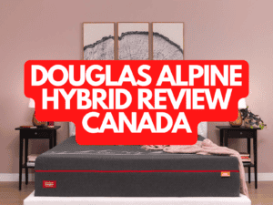 Douglas Alpine Hybrid Review Canada