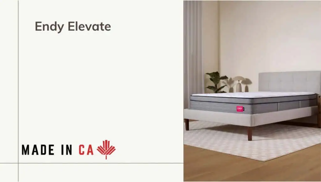 Endy Elevate Standard
