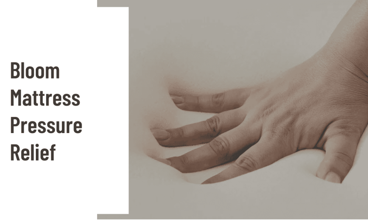 Bloom Pressure Relief Feature