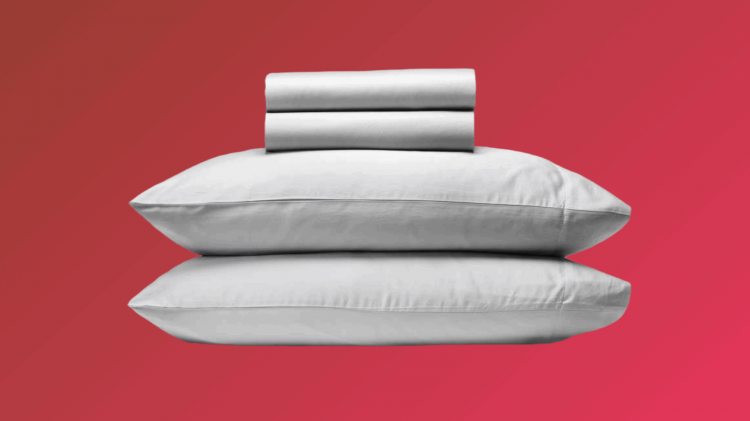 Silk and Snow Egyptian Cotton Bed Sheets